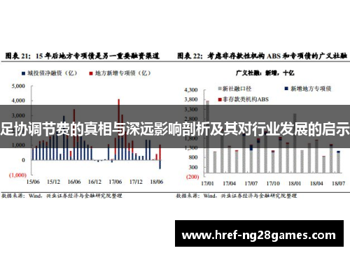 足协调节费的真相与深远影响剖析及其对行业发展的启示