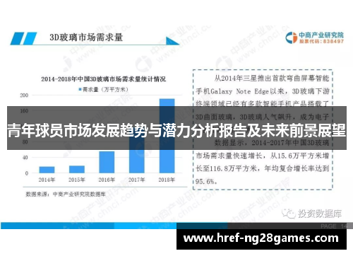 青年球员市场发展趋势与潜力分析报告及未来前景展望 青年球员市场发展趋势与潜力分析报告及未来前景展望