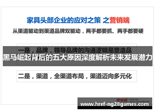 黑马崛起背后的五大原因深度解析未来发展潜力